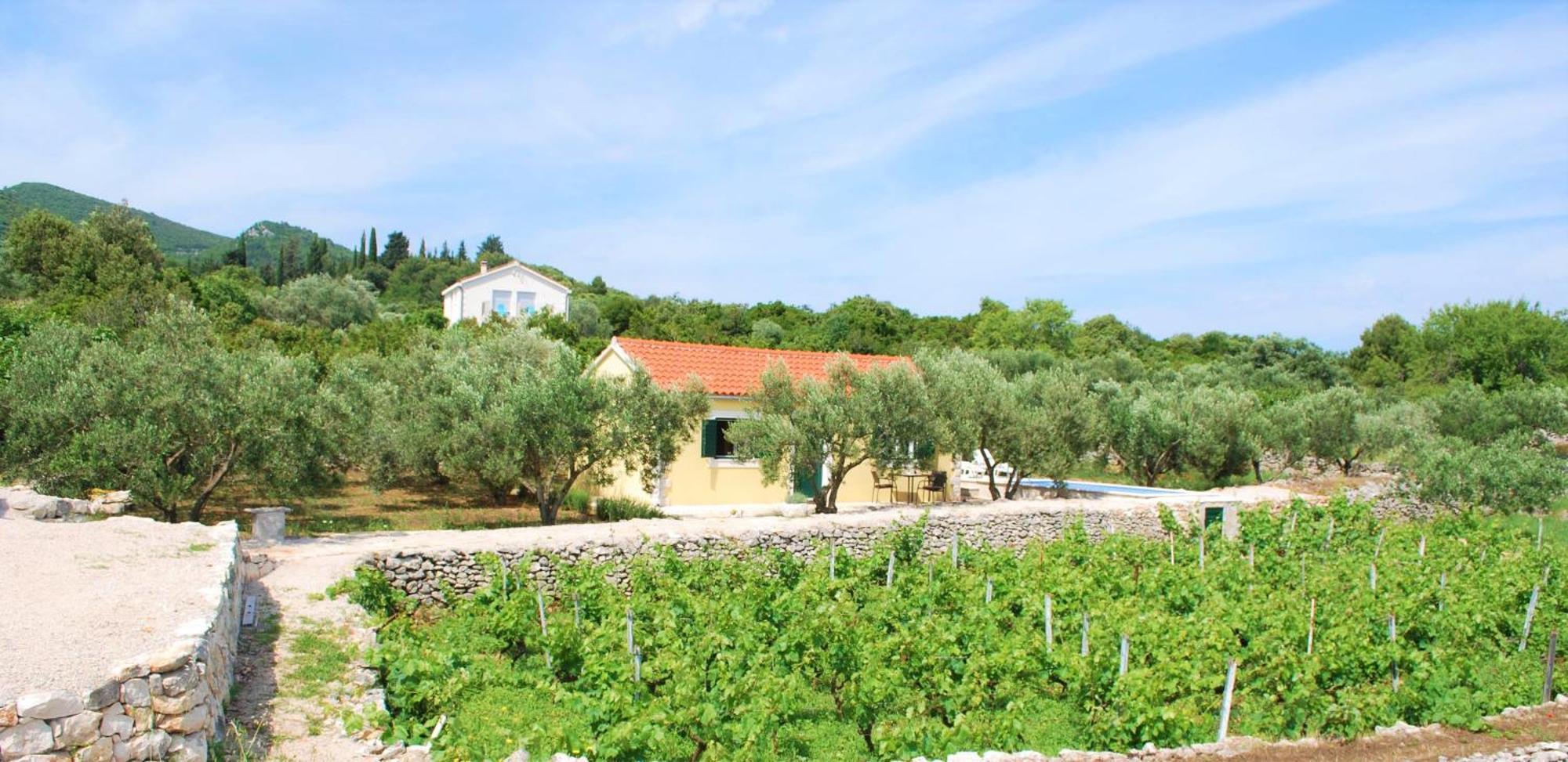 Vineyard House & Olive Grove House Villa Račišće Kültér fotó