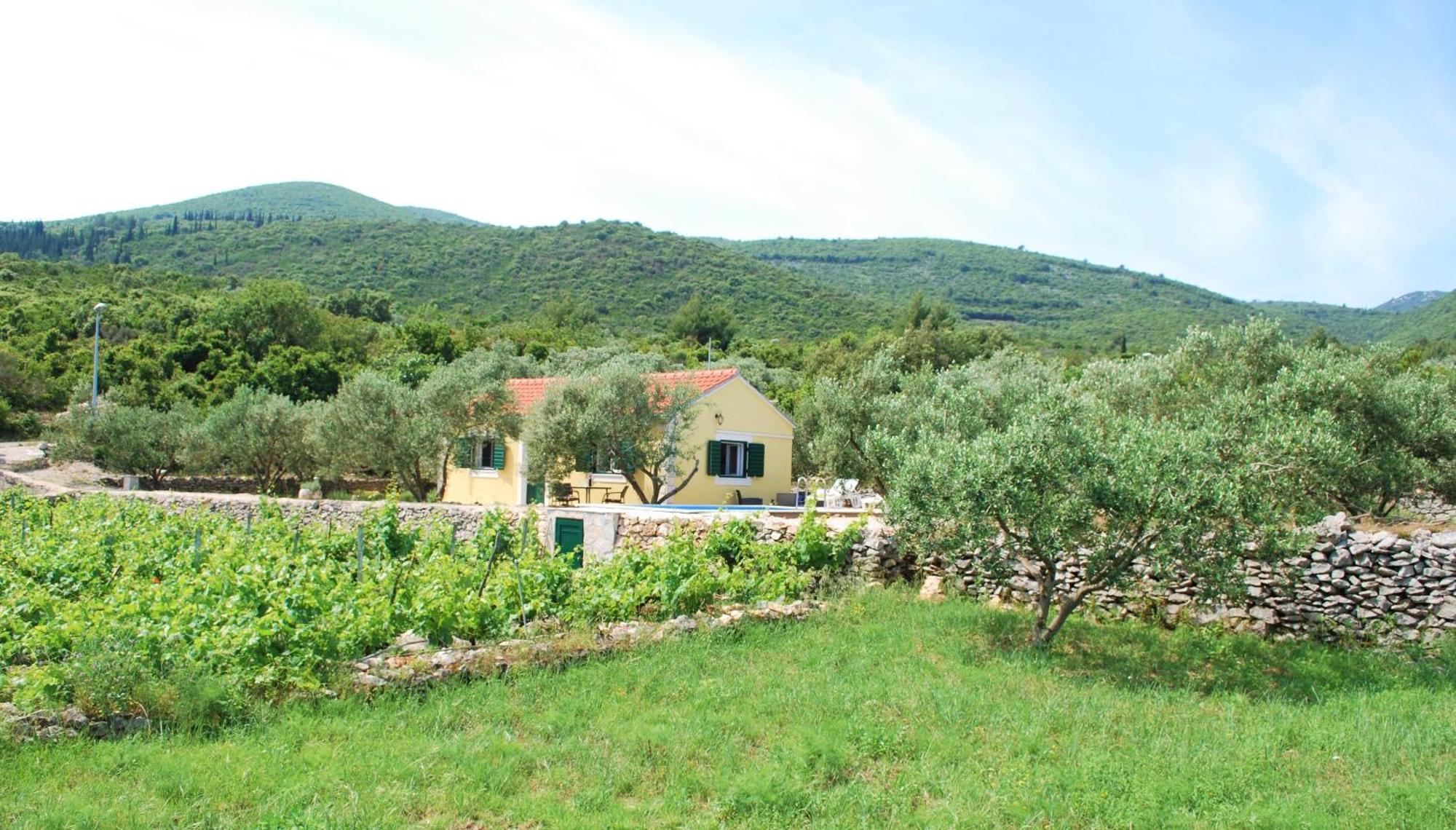 Vineyard House & Olive Grove House Villa Račišće Kültér fotó