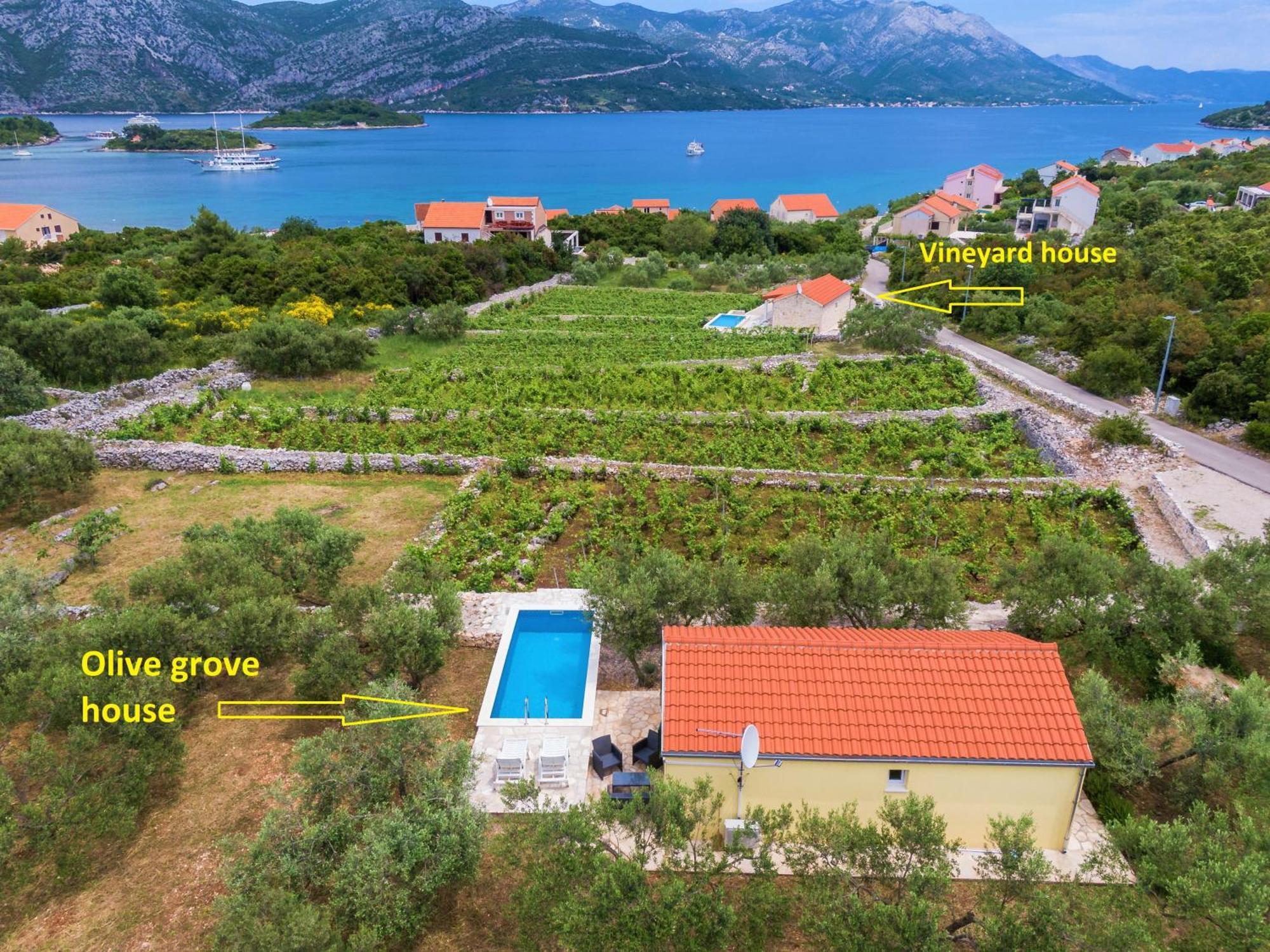 Vineyard House & Olive Grove House Villa Račišće Kültér fotó