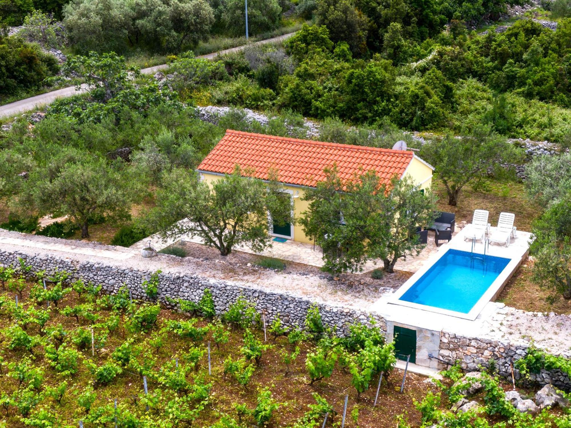 Vineyard House & Olive Grove House Villa Račišće Kültér fotó