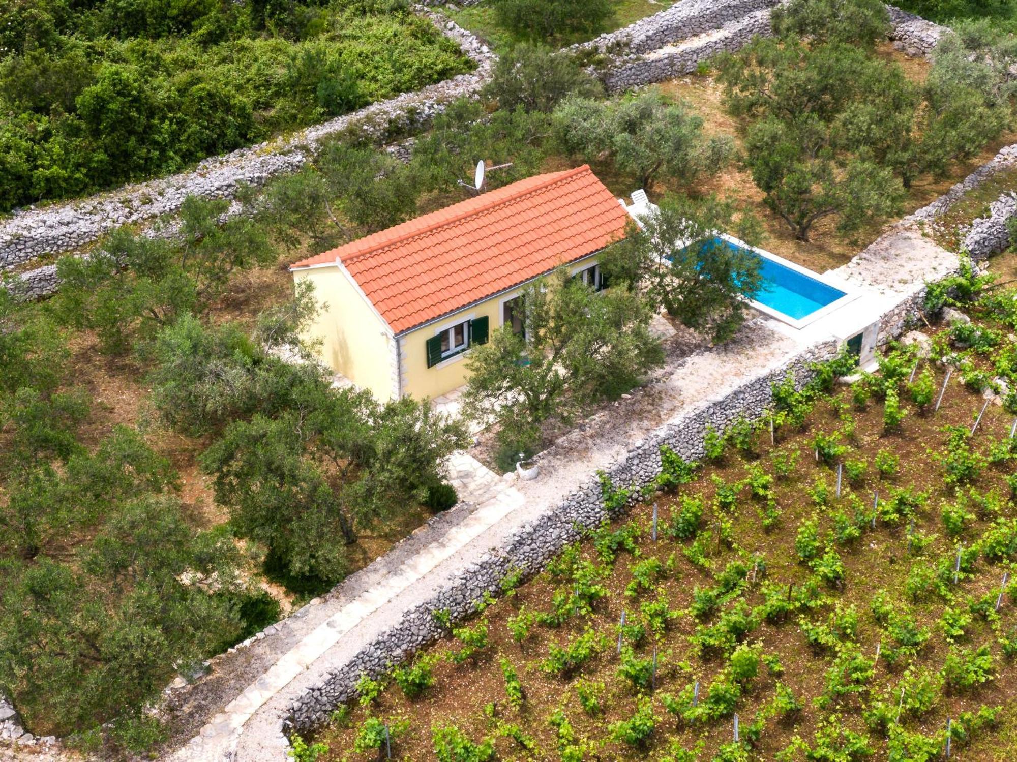Vineyard House & Olive Grove House Villa Račišće Kültér fotó