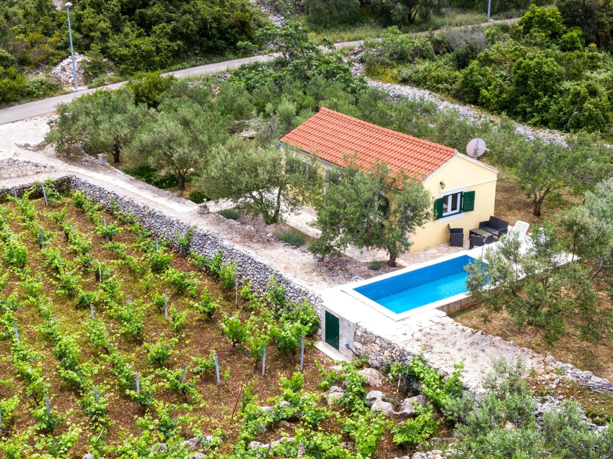 Vineyard House & Olive Grove House Villa Račišće Kültér fotó