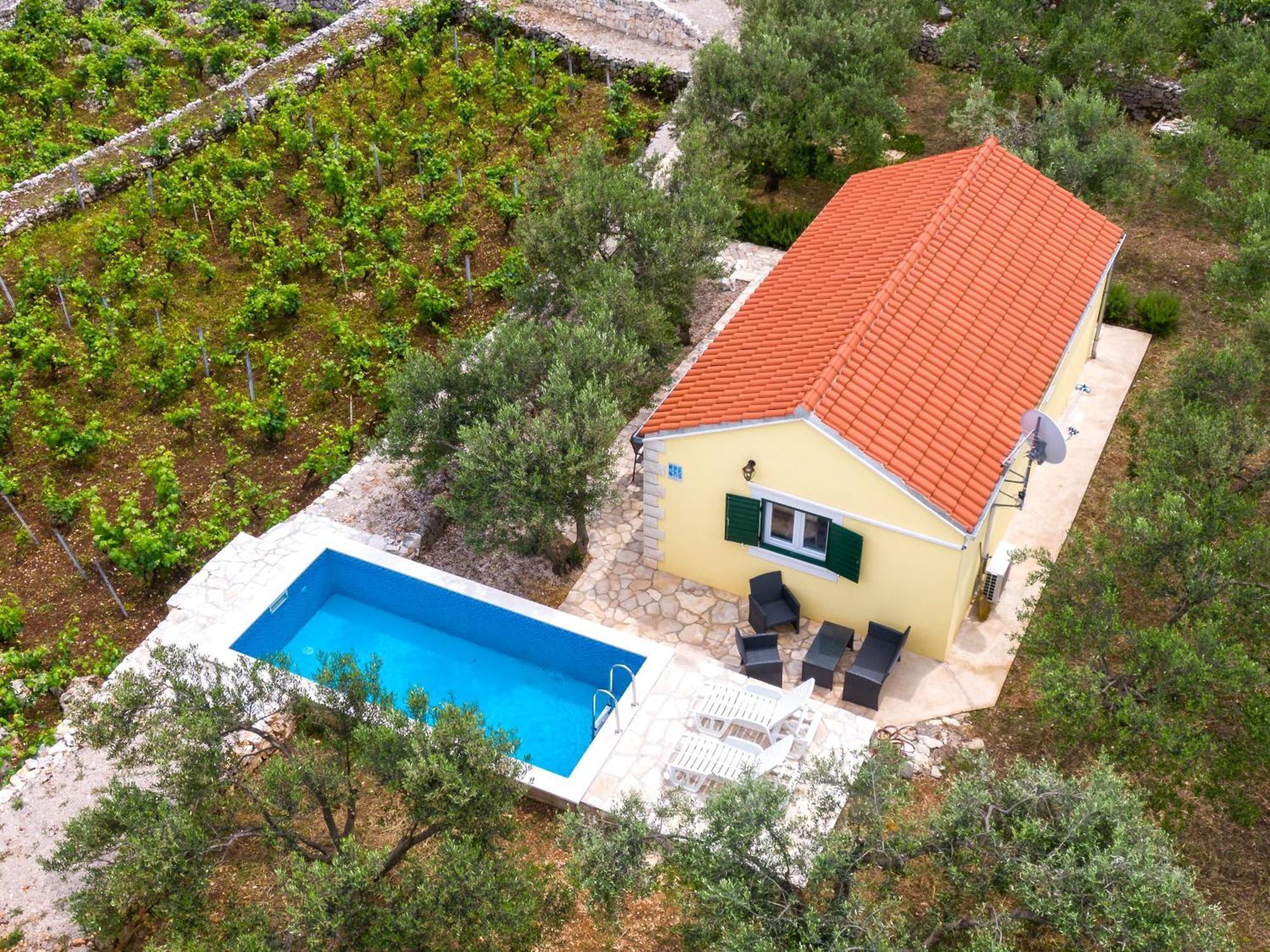 Vineyard House & Olive Grove House Villa Račišće Kültér fotó