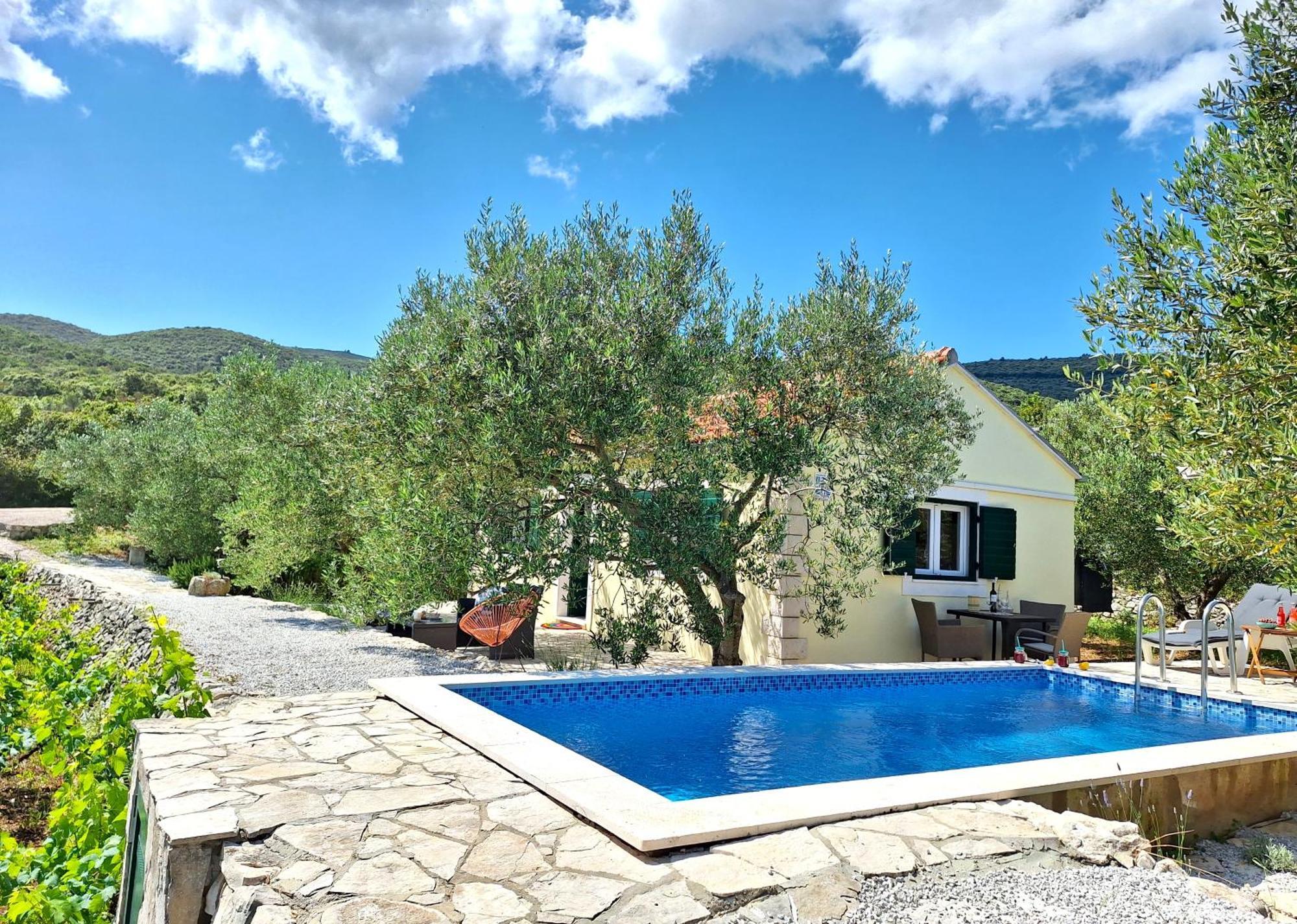 Vineyard House & Olive Grove House Villa Račišće Kültér fotó