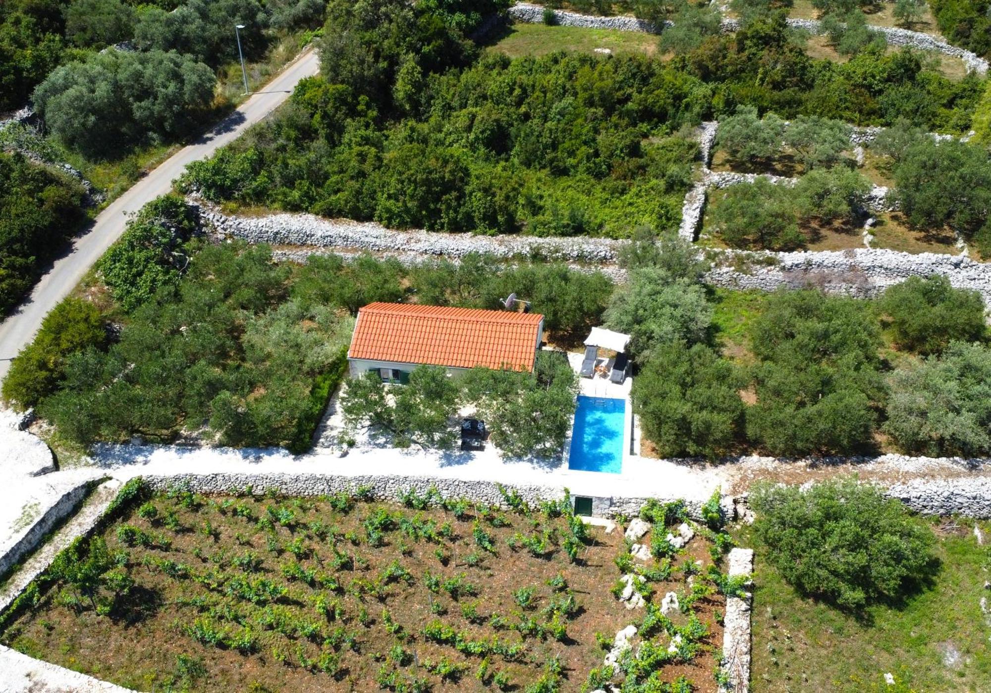 Vineyard House & Olive Grove House Villa Račišće Kültér fotó
