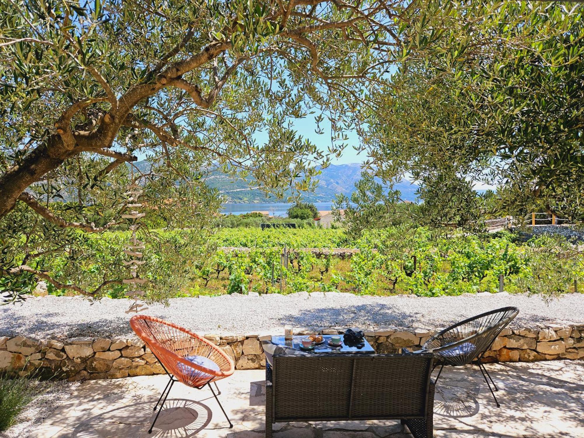 Vineyard House & Olive Grove House Villa Račišće Kültér fotó