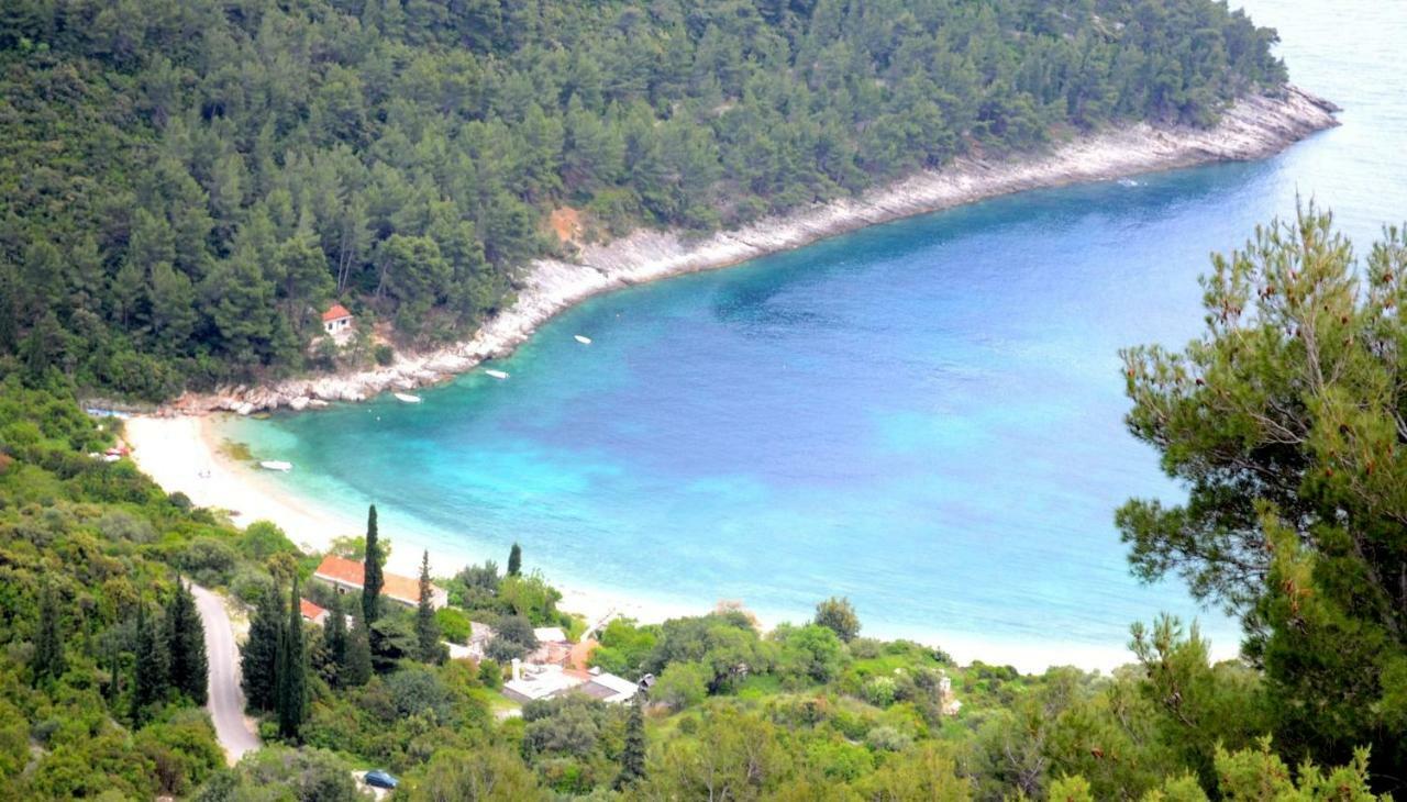 Vineyard House & Olive Grove House Villa Račišće Kültér fotó
