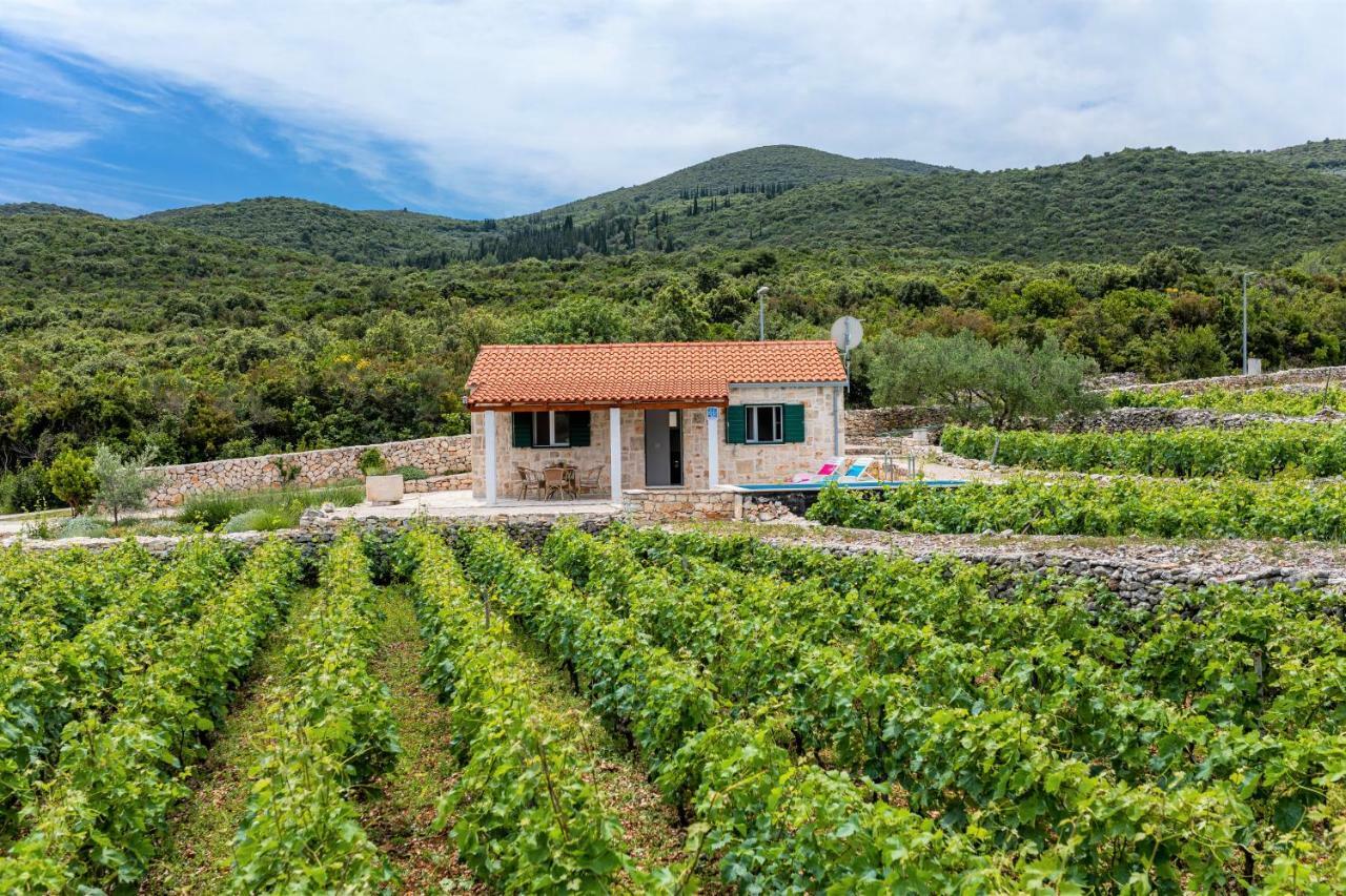 Vineyard House & Olive Grove House Villa Račišće Kültér fotó