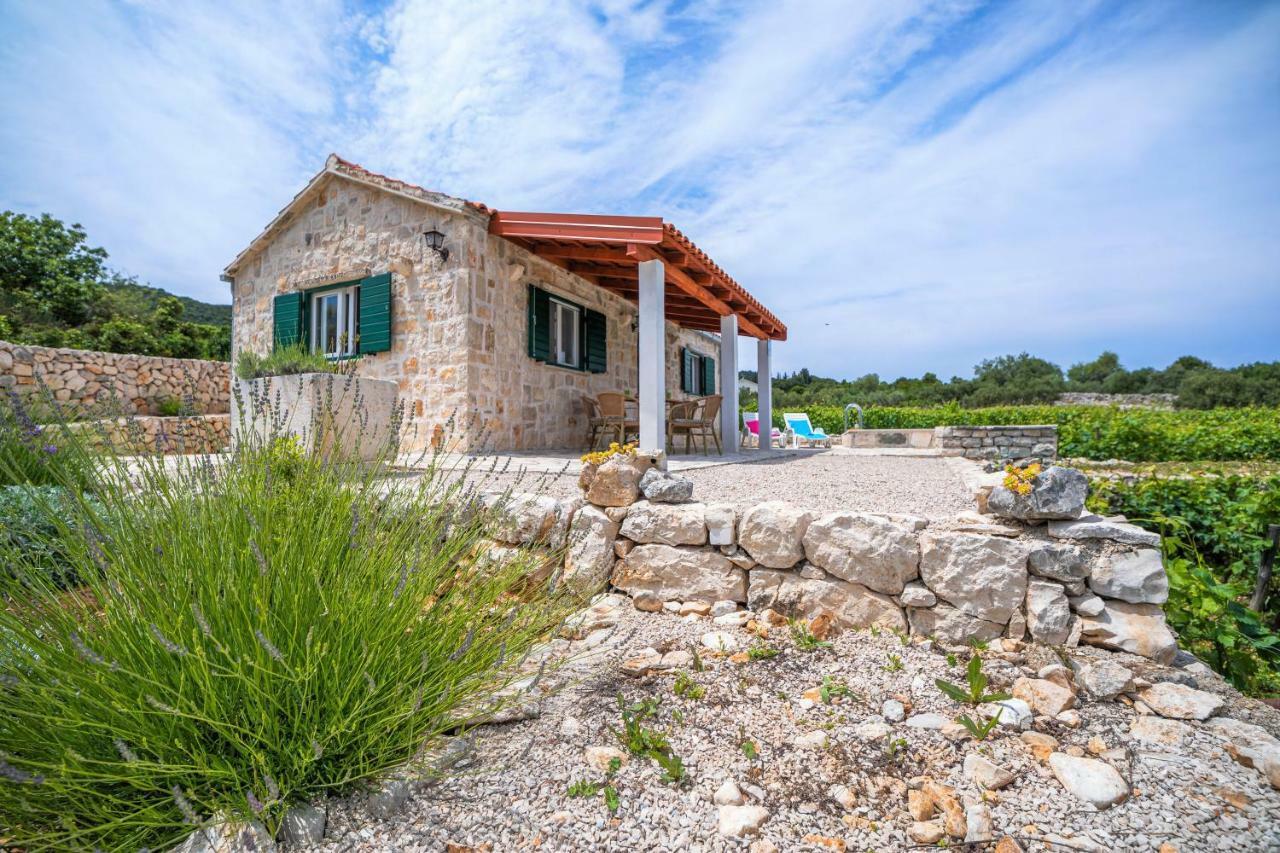 Vineyard House & Olive Grove House Villa Račišće Kültér fotó