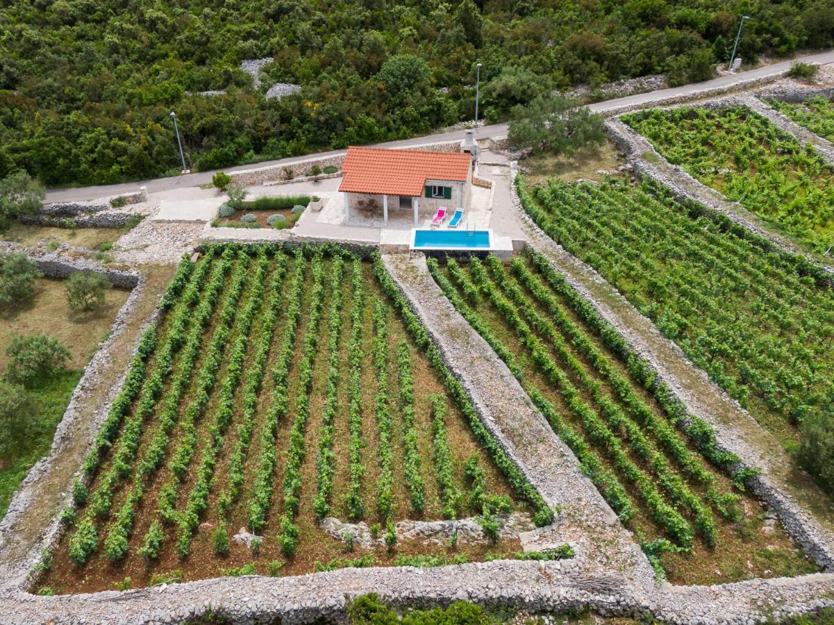 Vineyard House & Olive Grove House Villa Račišće Kültér fotó