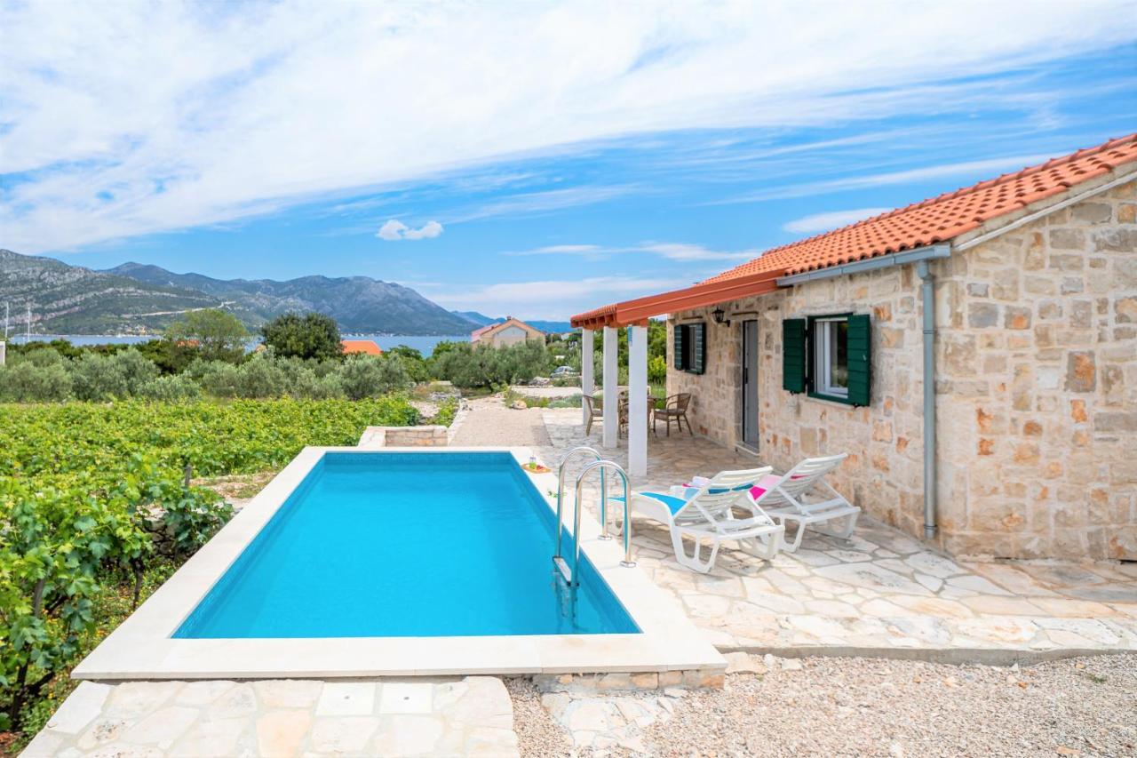 Vineyard House & Olive Grove House Villa Račišće Kültér fotó