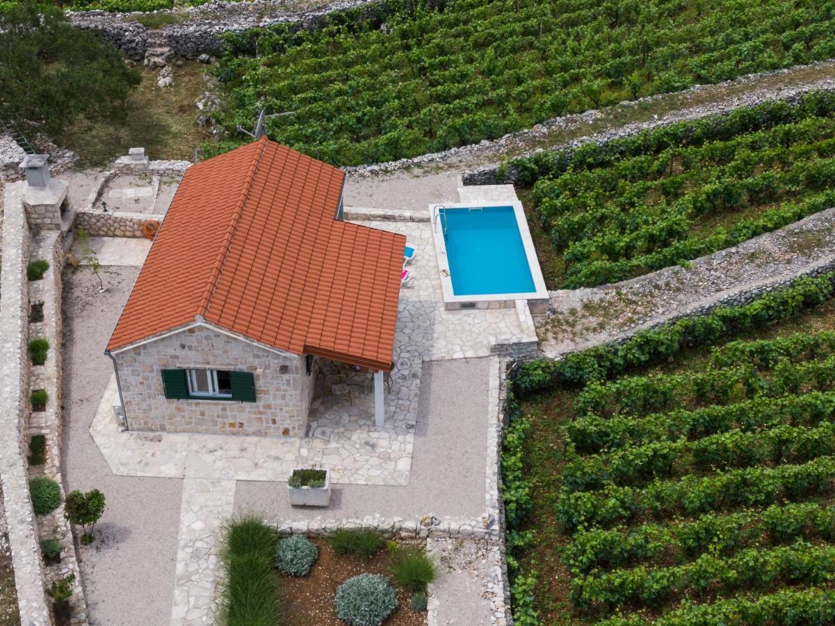 Vineyard House & Olive Grove House Villa Račišće Kültér fotó