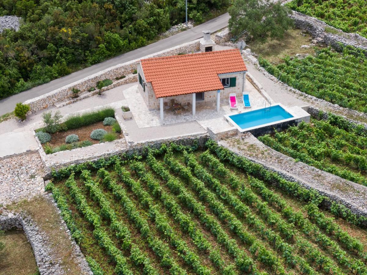 Vineyard House & Olive Grove House Villa Račišće Kültér fotó