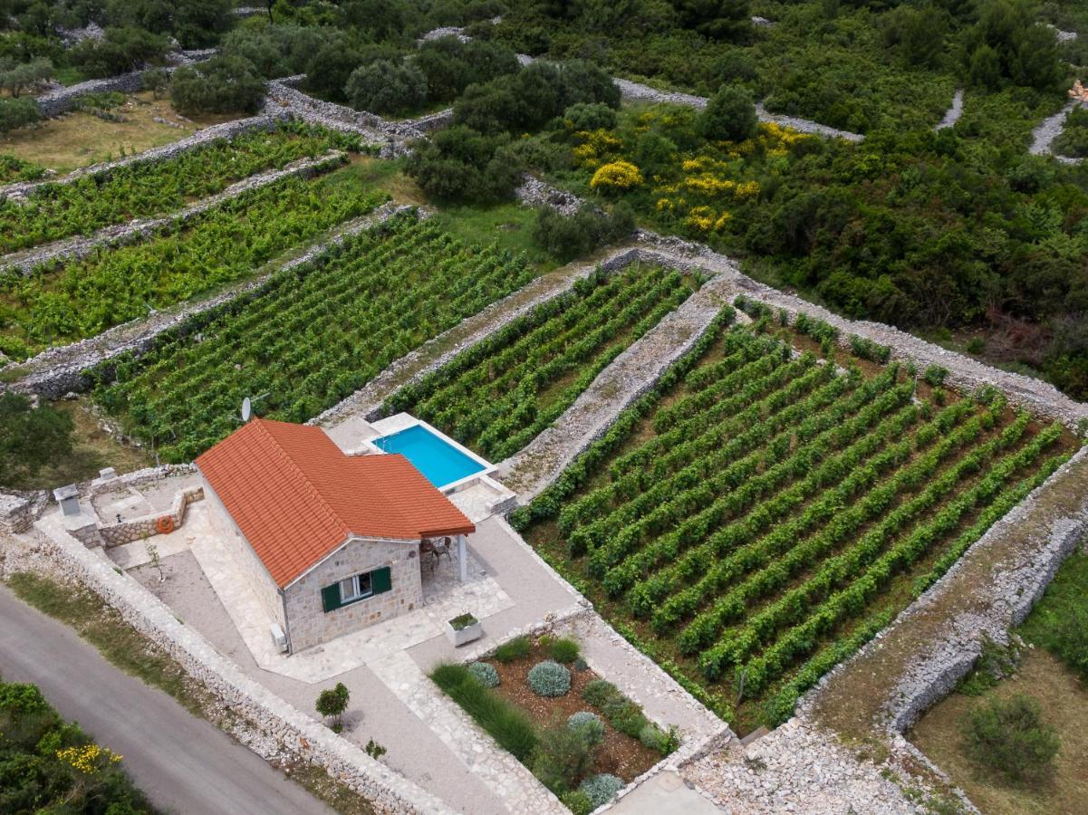 Vineyard House & Olive Grove House Villa Račišće Kültér fotó